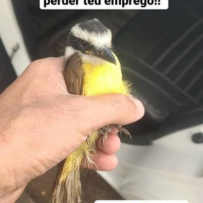 Uber Dotado 21x08cm 
cara do Bem!!!
Afim de novos amigos e boas companhias.
Não é pq sou Uber vou estar disponível sempre!!
Sou Tarado em Pés 
Versátil/Ativo