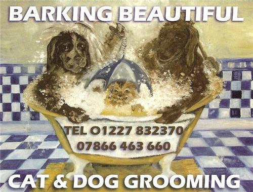 Providing Exceptional Dog and Cat Grooming Services to Canterbury and the Surrounding Areas...