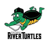 Pulaski River Turtles(@theriverturtles) 's Twitter Profile Photo