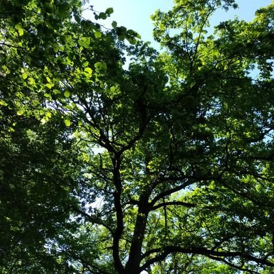 DusaryFlorence's profile picture. Bienveillance et positivisme