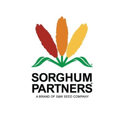 The Sorghum Partners® brand is dedicated to your operation’s success. Offering both grain and forage hybrids. Sorghum Partners is a brand of S&W Seed Company.
