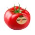 Tomates Savoura (@tomatessavoura) Twitter profile photo Tomates Savoura (@tomatessavoura) Twitter profile photo