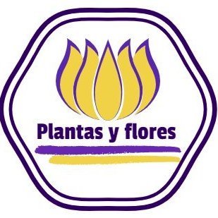 Plantas y flores es un blog dedicado al mundo de la #jardinería, en especial a las #plantas ornamentales de interior.