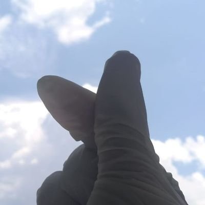 zacchan__ssi's profile picture. Just a random-fangirling-acc~