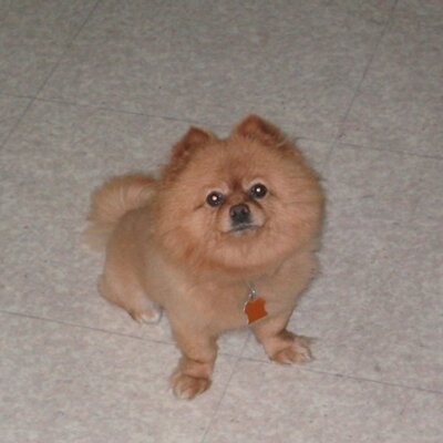 joshyoon's profile image