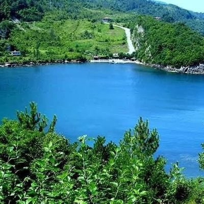 Cumhurenol1's profile picture. 