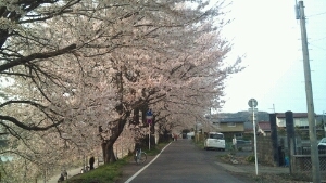 毎日が幸せな主婦です(^_-)-☆ 山形から越して来ましたが、大河原にもようやく慣れてきました。育児奮闘中です。