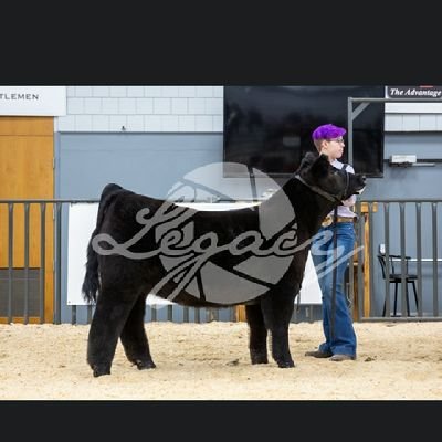 oop_pdf_failed's profile picture. I have literally nothing to say