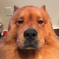 oominnoo (@kinnmo) 's Twitter Profile