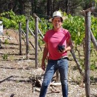 Nello Biscotti (@nbisccotti) 's Twitter Profile