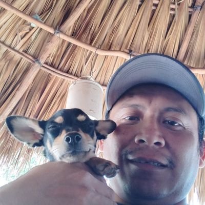 tomas_chuc's profile picture. 