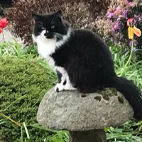 Carolyn Reid💙🏴” (@carolyncatsuki) 's Twitter Profile Photo Carolyn Reid💙🏴” (@carolyncatsuki) 's Twitter Profile Photo
