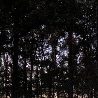 localghost (@jp10k) 's Twitter Profile Photo localghost (@jp10k) 's Twitter Profile Photo
