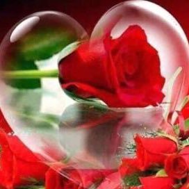 MdSharf8's profile picture. md