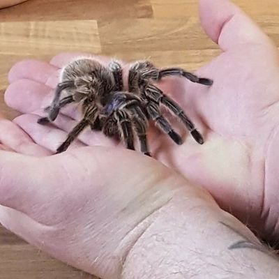 dfearn142's profile picture. Husband to Wonderful wife Wendy .
Dad to the Best  Son you could wish for in Dylan ..
Massive LFC  supporter