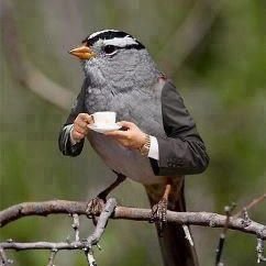 MrFredendall's profile picture. Mostly unplugged. I'm just here to like my employer's posts and occasionally catch up on what's happening.