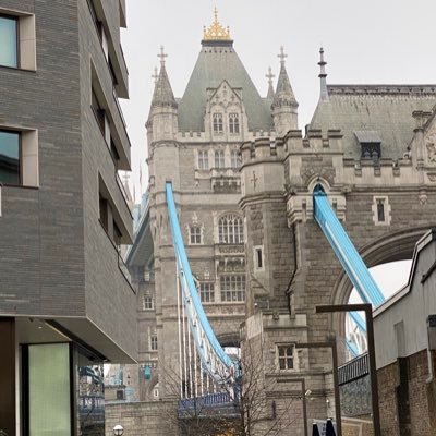 diehardgoldbug's profile picture. On the tip of the 4th industrial revolution.