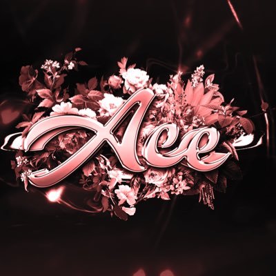 TheKingOfAce1's profile picture. 