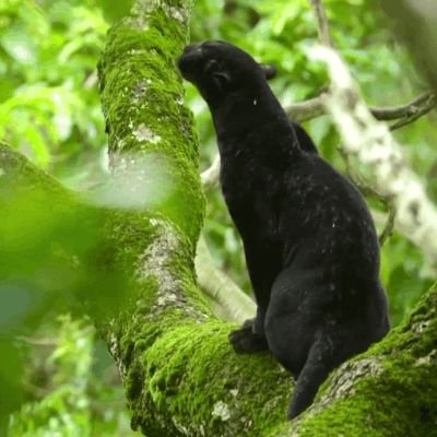 wauggterz's profile picture. 