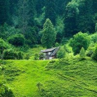 محمد مجيد توتي (@o85bkzhciajjpu3) Twitter profile photo