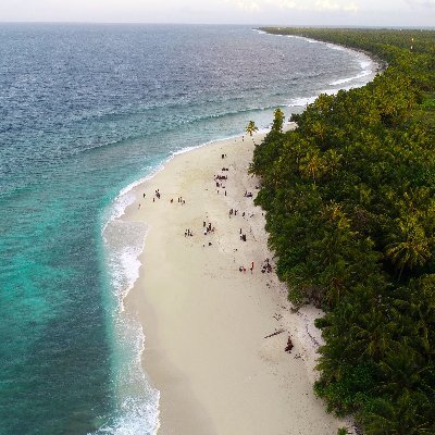 Mo36817085's profile picture. 