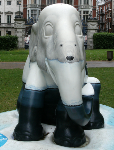 YTlse's profile picture. 