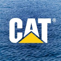 Cat Marine (@catmarineglobal) Twitter profile photo