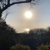 Taka (@fx_study_benkyo) 's Twitter Profile