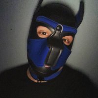 desmond the wolf(@alpha_desmond) 's Twitter Profile Photo