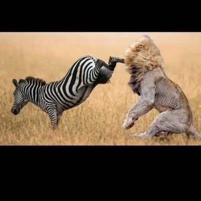 Bgboss55's profile picture. 