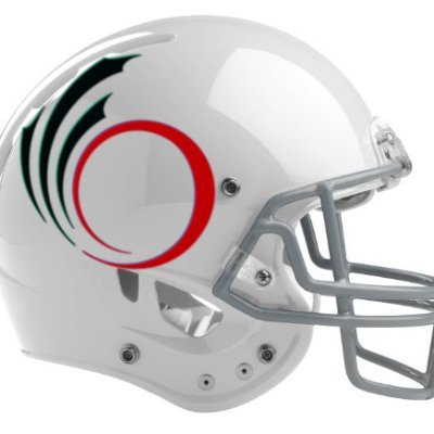 REDBLACKS season seat member 2014-Present. Hobby historian of Ottawa football.