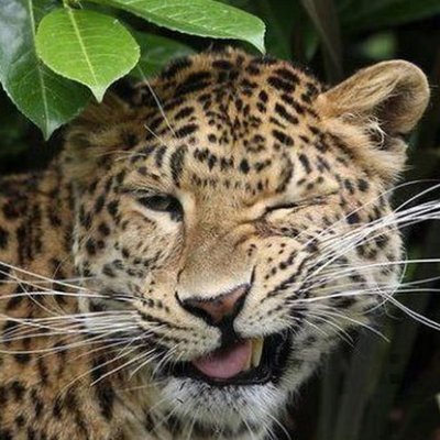 travel_ANDdream's profile picture. 