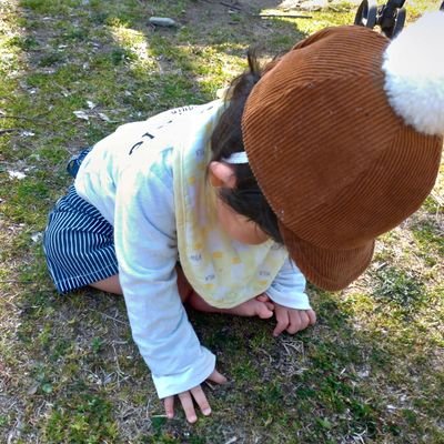 Vstudy4's profile picture. e-learning for public schools