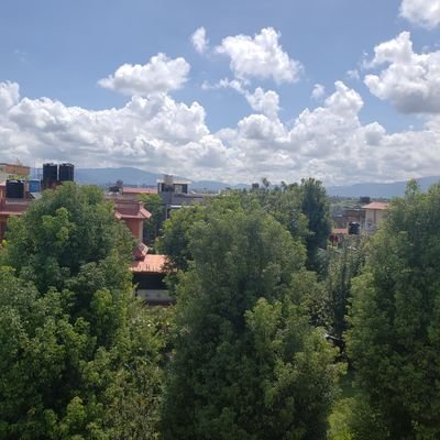 Systemreboot11's profile picture. equity, representation, justice, freedom