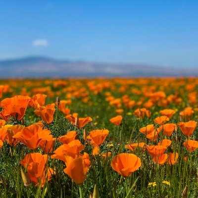 emurill99270020's profile picture. 