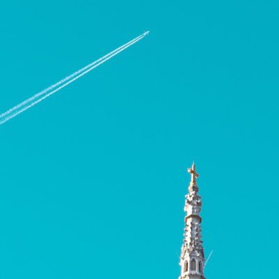 sumibiyakiniku_'s profile picture. 人間が大好き！まいにち会社員 夫とフェレットと暮らしています 趣味はお喋り/漫画/麻雀/料理/バイク 20↑