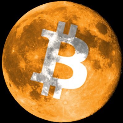 yohodlo's profile picture. You Only HODL Once.  Bag HODLer since 2017.