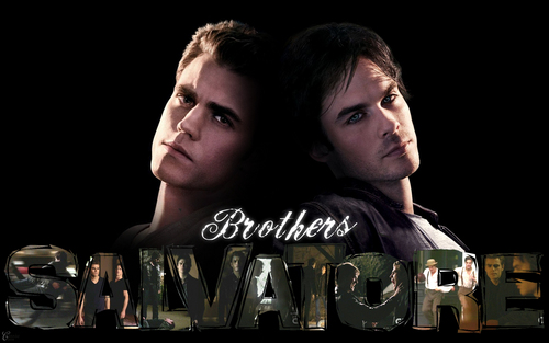 Damon And Stefan Seldenatvd Twitter