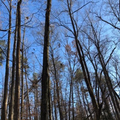 newwind68424523's profile picture. 