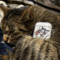 イリ😻 (@ily145) 's Twitter Profile