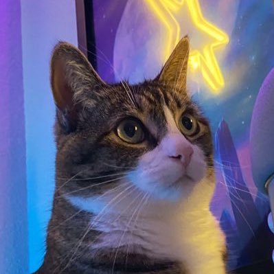 CokeZeroCat Profile Picture