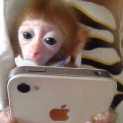 _X_Dan_X's profile picture. I'm too old for this shiz.