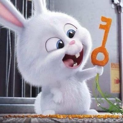 opengru_rabbit's profile picture. แอคส่งของราคาน่ารัก เสื้อผ้า ของใช้ หนังสือ เครื่องเขียน🛒
พวกเรายินดีมากๆที่ได้ส่งต่อของให้เจ้าของใหม่ค่ะ😘💕
ส่องของยังอยู่ได้ใน Likes หรือทักdmได้เลยค่า❤️