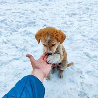 KdmGaurav's profile picture. GIVE RESPECT TAKE RESPECT🙂
HIMACHALI BOY👦
HAR HAR MAHADEV🔱🙏