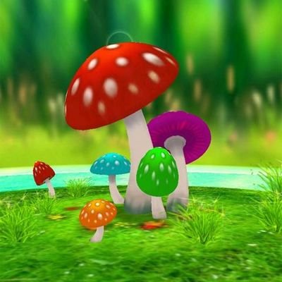 ouou2457's profile picture. 