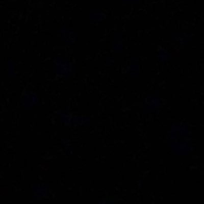 THATNIGGA1237's profile picture. real page..