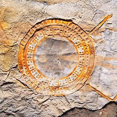 Mutley222's profile picture. 