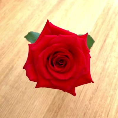 min83694275's profile picture. 政治 書籍 旅遊