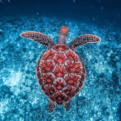 michael97783260's profile picture. 