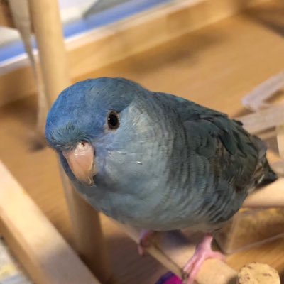 alwayssunnylike's profile picture. 